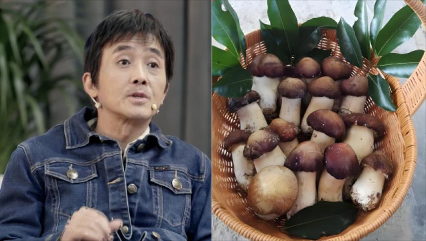 管家婆玄機圖庫,馬正勇任廣東省副省長_潮流版V9.89
