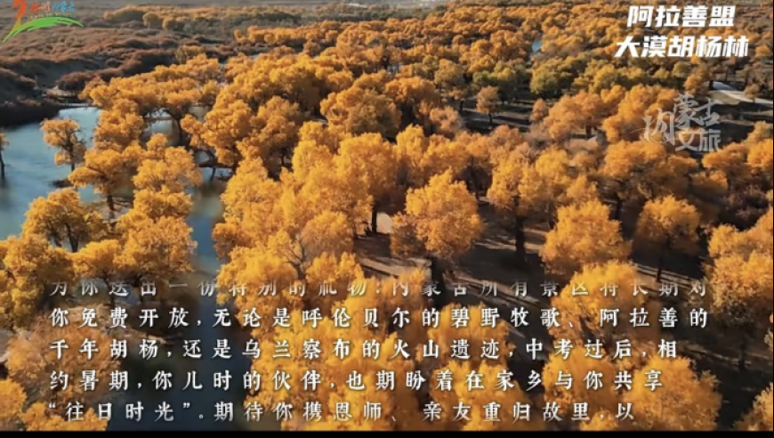 155755金牛網(wǎng)站高手,廣州市中院終審判決黑社會案_完整版V4.23