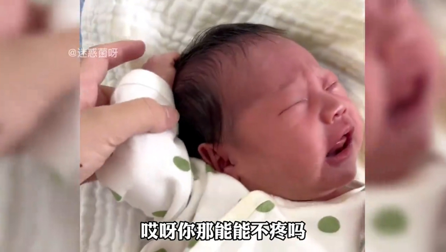香港王中原創(chuàng)資料,?？诰教幚砼柏堉{言案件_權(quán)威版V10.91