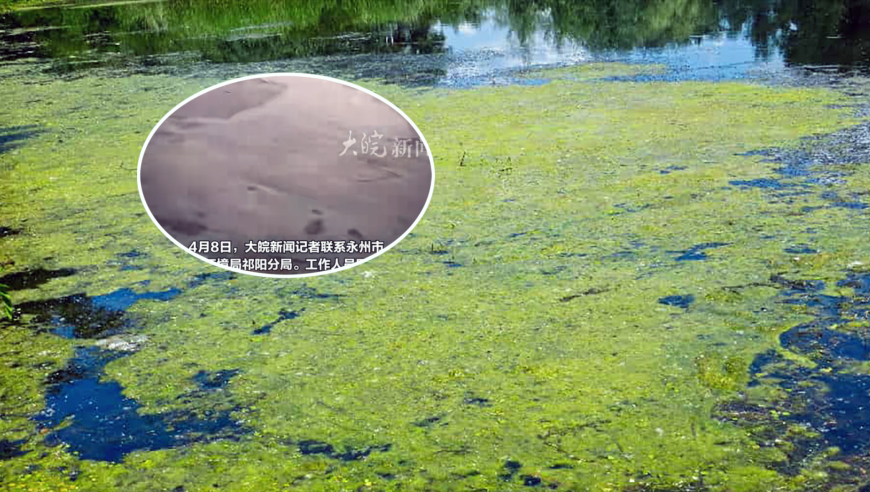 2025第二期管家婆圖片,世紀(jì)嬰兒千千去世,展開(kāi)計(jì)劃實(shí)施_AndroidV11.20